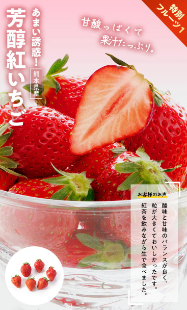 Oisix(オイシックス)の大感謝祭セール贅沢15品内容