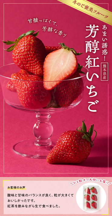 【2026年限定】Oisixの総決算セール!豪華15品が76%OFFの大特価