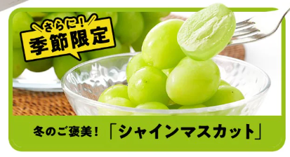 え、78%OFF！？Oisix(オイシックス)の2024年ブラックフライデーセール神すぎ！