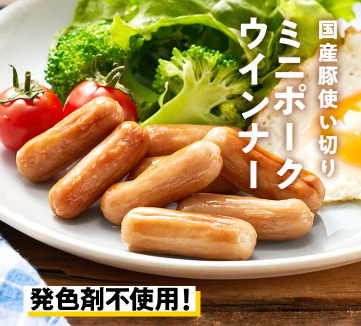 Oisix(オイシックス)の2024年限定クリスマスセット贅沢15品内容│ミニポークウインナー