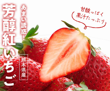 Oisix(オイシックス)の大感謝祭セール贅沢15品内容│芳醇紅いちご