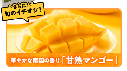 76%OFF！？Oisix(オイシックス)の大創業祭セールお試しセット贅沢な15品で神すぎ！