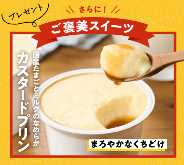 80%OFF！？Oisix(オイシックス)の夏祭りセールお試しセット贅沢な16品で神すぎ！