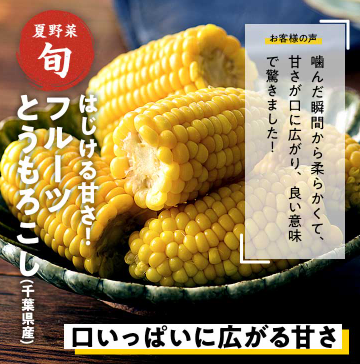 Oisix(オイシックス)の夏祭りセール贅沢16品内容