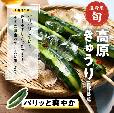 Oisix(オイシックス)の夏祭りセール贅沢15品内容がエグすぎ