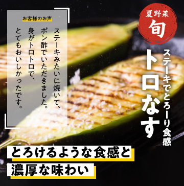 79%OFF！？Oisix(オイシックス)の夏祭りセールお試しセット贅沢な16品で神すぎ！