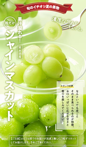 76%OFF！？Oisix(オイシックス)の夏休みセールお試しセット贅沢な15品で神すぎ！