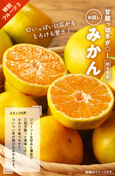 74%OFF！？Oisix(オイシックス)のクリスマスセールお試しセット贅沢な15品で神すぎ！