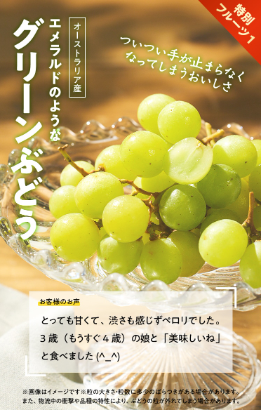 74%OFF！？Oisix(オイシックス)のスプリングセールお試しセット贅沢な16品で神すぎ！