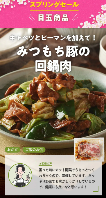 74%OFF！？Oisix(オイシックス)のスプリングセールお試しセット贅沢な16品で神すぎ！