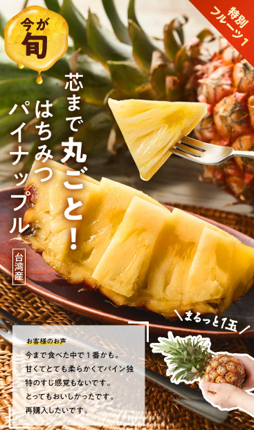 75%OFF！？2026年OisixのGWセールお試しセット贅沢な16品で神すぎ！