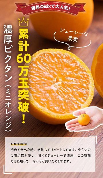 75%OFF!?2026年Oisixの初夏サマーセールお試しセット贅沢な16品で神すぎ!
