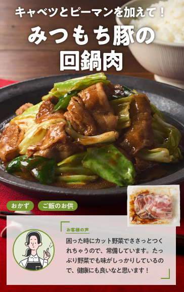 73%OFF!?2026年Oisixの夏祭りセールお試しセット贅沢な16品で神すぎ!