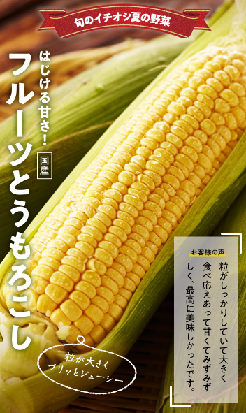 73%OFF!?2026年Oisixの夏祭りセールお試しセット贅沢な16品で神すぎ!