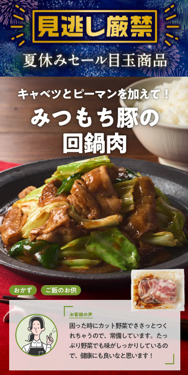 75%OFF!?2026年Oisixの夏休みセールお試しセット贅沢な16品で神すぎ!