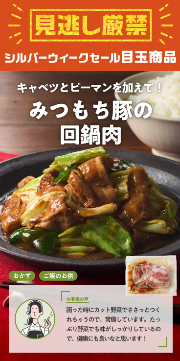 76%OFF!?2026年Oisixの大感謝祭シルバーウィークセールお試しセット贅沢な16品で神すぎ!